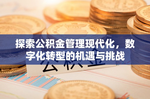 新邱探索公积金管理现代化，数字化转型的机遇与挑战