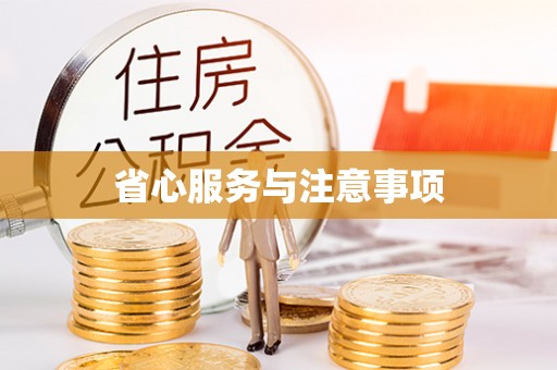 新邱省心服务与注意事项