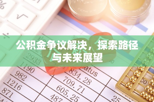 新邱公积金争议解决，探索路径与未来展望