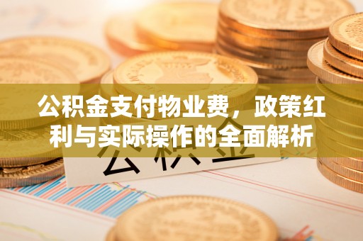 新邱公积金支付物业费，政策红利与实际操作的全面解析