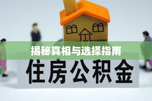 新邱揭秘真相与选择指南