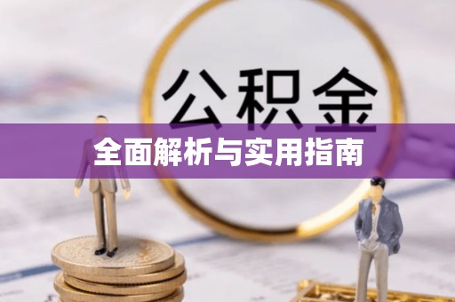 新邱全面解析与实用指南