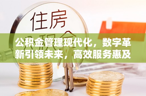 新邱公积金管理现代化，数字革新引领未来，高效服务惠及民生