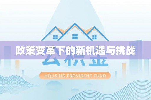 新邱政策变革下的新机遇与挑战