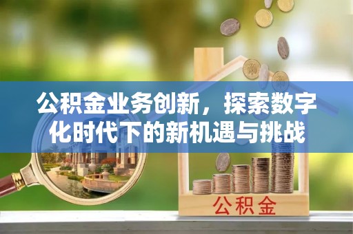 新邱公积金业务创新，探索数字化时代下的新机遇与挑战