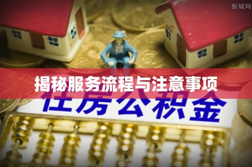 新邱揭秘服务流程与注意事项