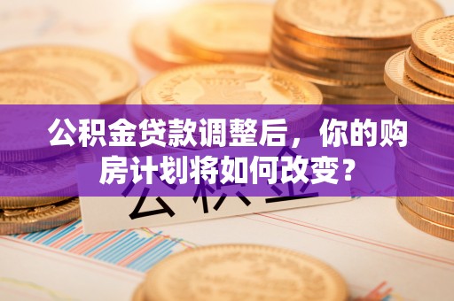 新邱公积金贷款调整后，你的购房计划将如何改变？