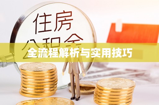 新邱全流程解析与实用技巧