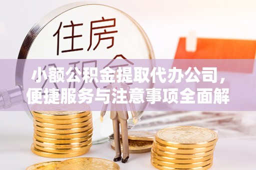 新邱小额公积金提取代办公司，便捷服务与注意事项全面解析
