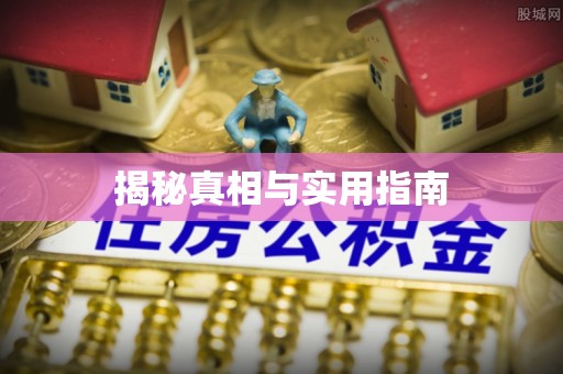 新邱揭秘真相与实用指南