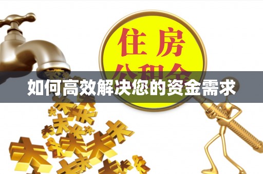 新邱如何高效解决您的资金需求