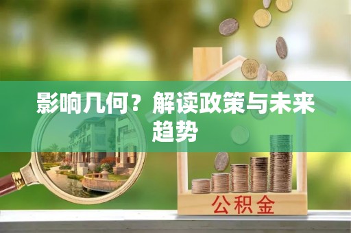 新邱影响几何？解读政策与未来趋势