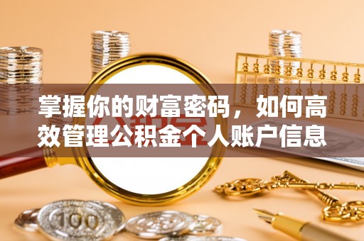 新邱掌握你的财富密码，如何高效管理公积金个人账户信息