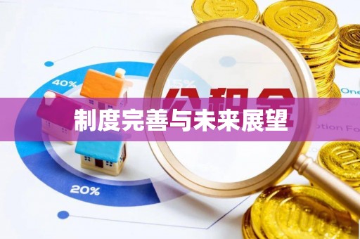 新邱制度完善与未来展望