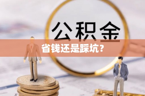 新邱省钱还是踩坑？