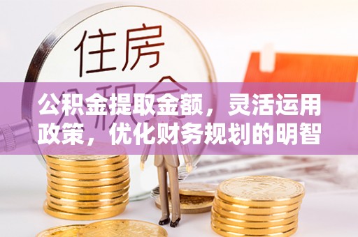 新邱公积金提取金额，灵活运用政策，优化财务规划的明智选择