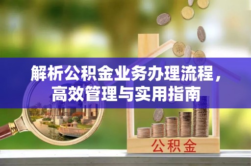 新邱解析公积金业务办理流程，高效管理与实用指南