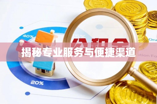 新邱揭秘专业服务与便捷渠道