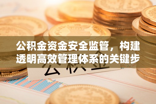 新邱公积金资金安全监管，构建透明高效管理体系的关键步骤