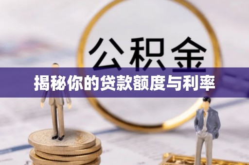 新邱揭秘你的贷款额度与利率