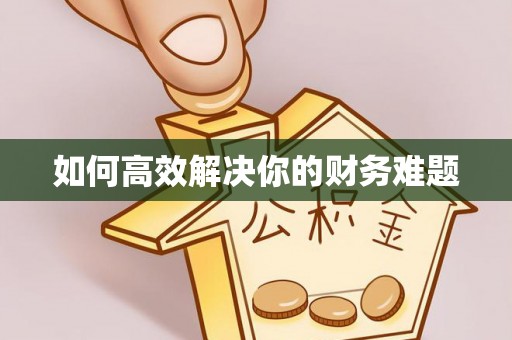 新邱如何高效解决你的财务难题