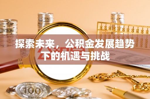 新邱探索未来，公积金发展趋势下的机遇与挑战