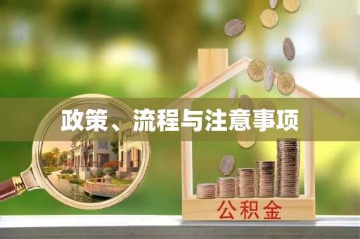新邱政策、流程与注意事项