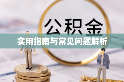 新邱实用指南与常见问题解析