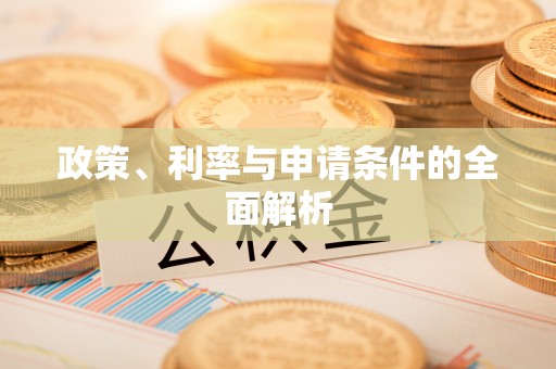 新邱政策、利率与申请条件的全面解析