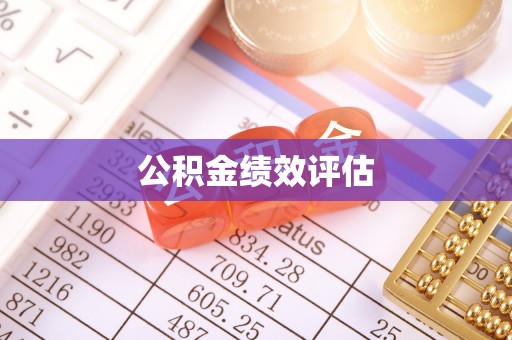 新邱公积金绩效评估