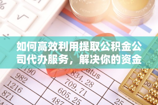 新邱如何高效利用提取公积金公司代办服务，解决你的资金难题