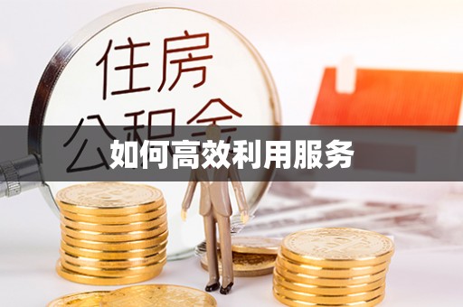 新邱如何高效利用服务
