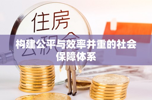 新邱构建公平与效率并重的社会保障体系