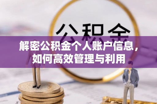新邱解密公积金个人账户信息，如何高效管理与利用