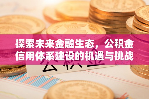新邱探索未来金融生态，公积金信用体系建设的机遇与挑战