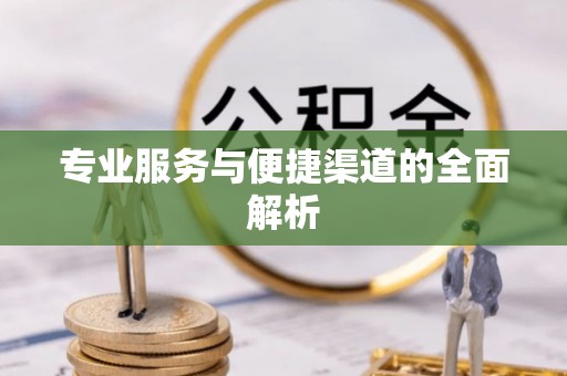 新邱专业服务与便捷渠道的全面解析