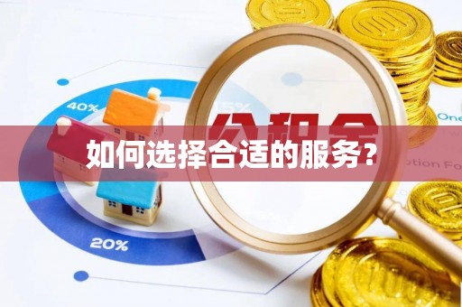 新邱如何选择合适的服务？