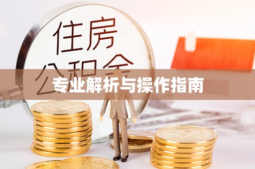 新邱专业解析与操作指南