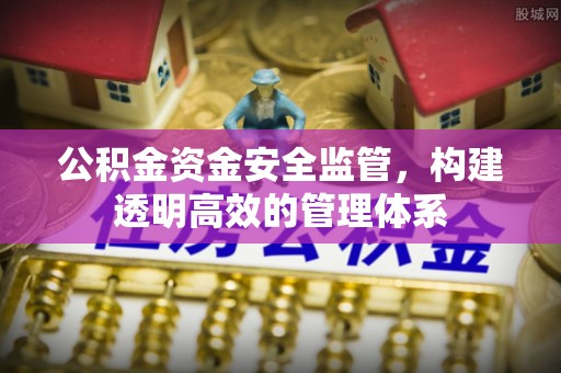 新邱公积金资金安全监管，构建透明高效的管理体系