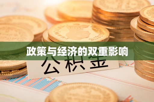 新邱政策与经济的双重影响