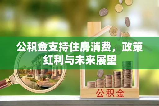 新邱公积金支持住房消费，政策红利与未来展望