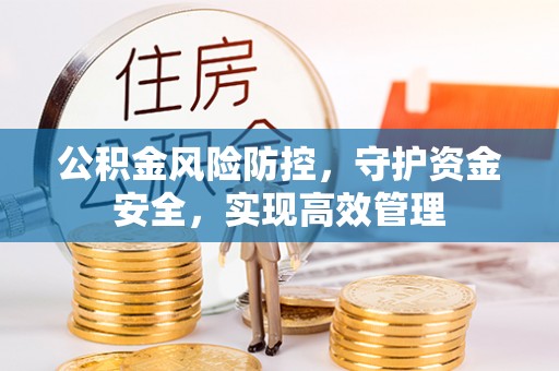 新邱公积金风险防控，守护资金安全，实现高效管理