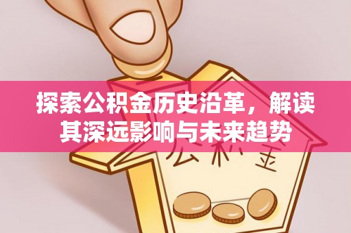 新邱探索公积金历史沿革，解读其深远影响与未来趋势