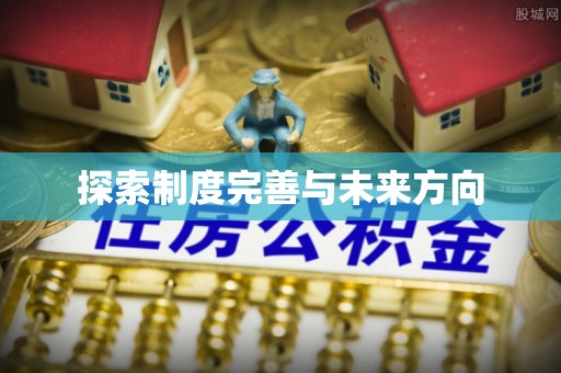 新邱探索制度完善与未来方向