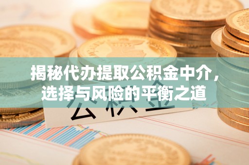 新邱揭秘代办提取公积金中介，选择与风险的平衡之道