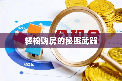 新邱轻松购房的秘密武器