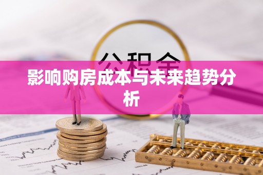 新邱影响购房成本与未来趋势分析