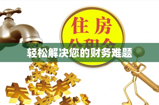 新邱轻松解决您的财务难题