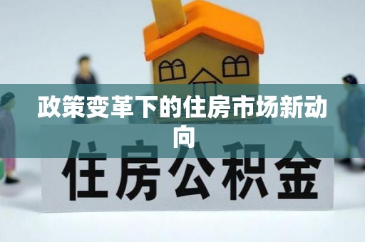 新邱政策变革下的住房市场新动向