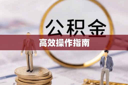 新邱高效操作指南